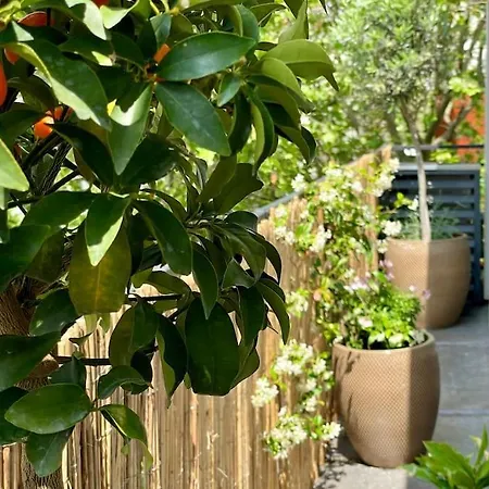 Loft Chic & Cosy, 9, Anvers - Montmartre